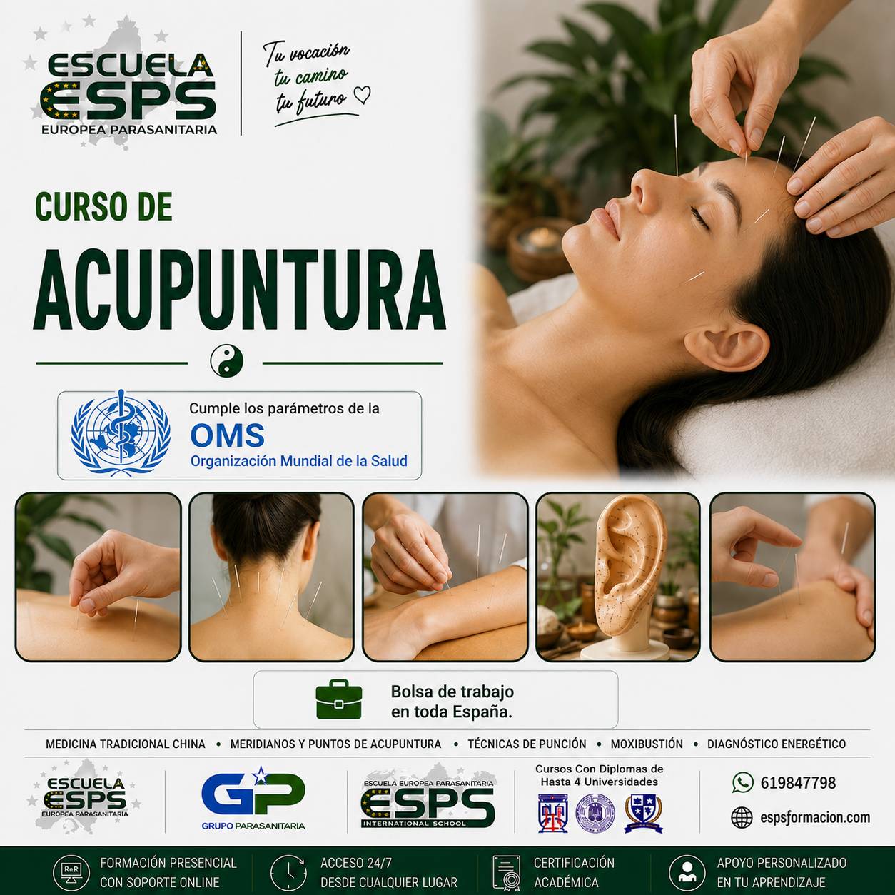 Curso de Acupuntura y Moxibustión Semipresencial | Galicia