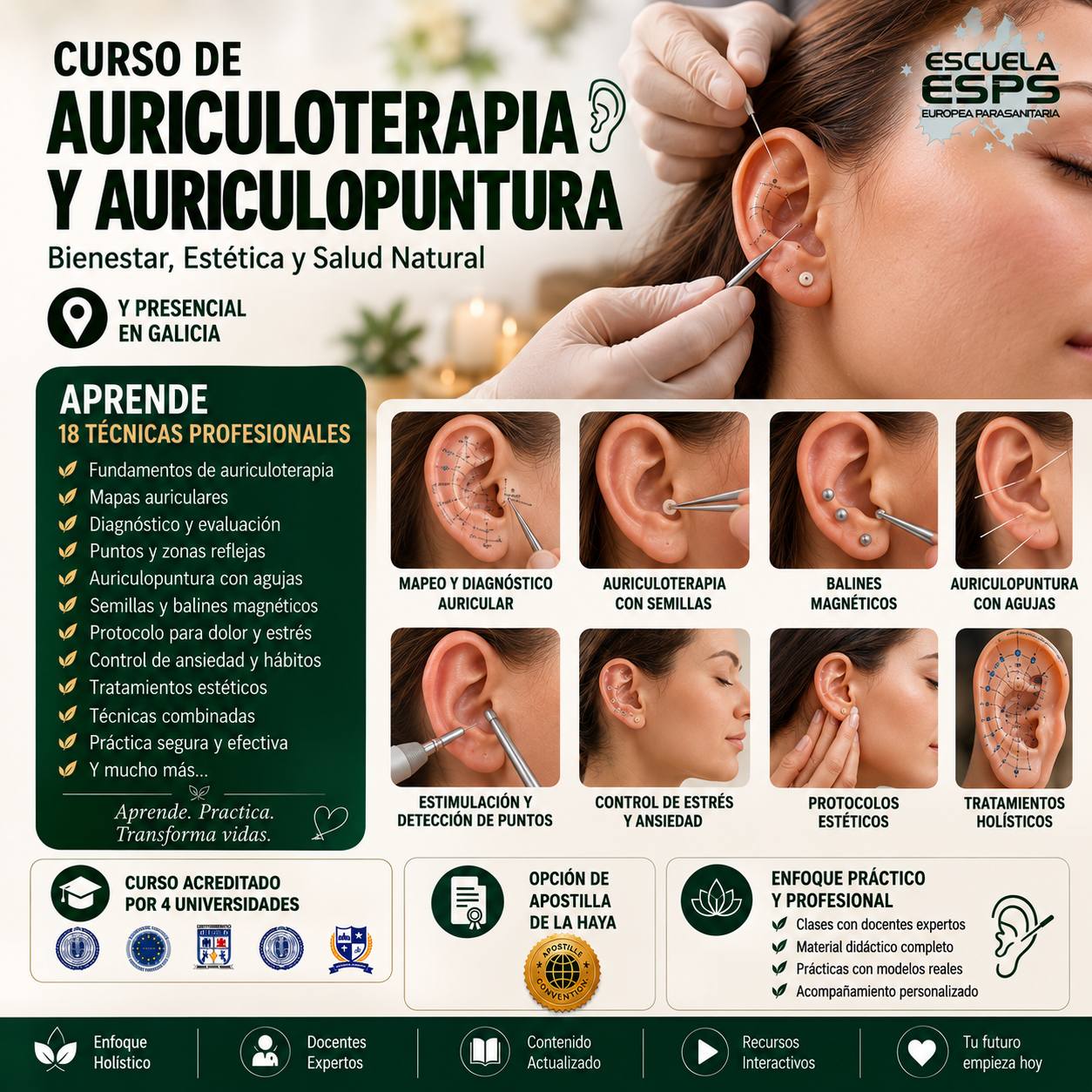 Curso de Auriculoterapia y Auriculopuntura