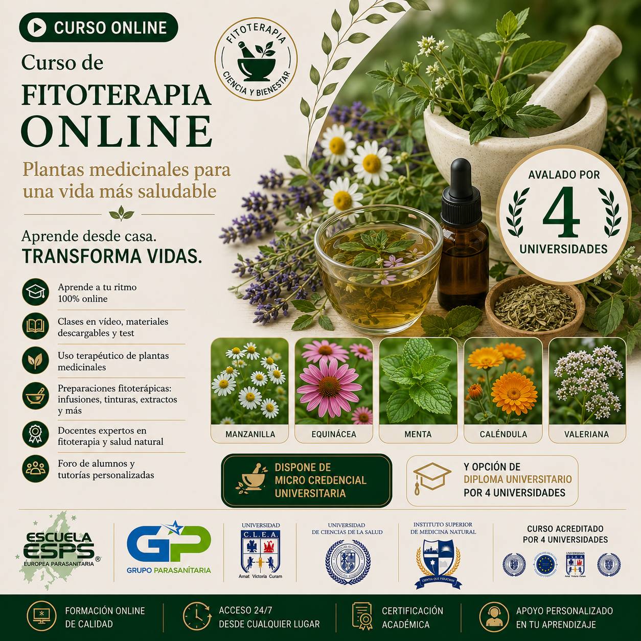 Curso de Fitoterapia Online - Parasanitaria.com Grupo Parasanitaria ESPS®